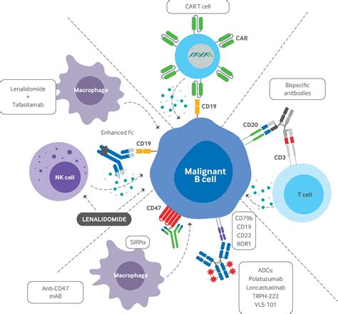 Lymphoma Action .